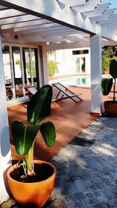 Fatima-ourem - Quinta Da Luz - Breakfast Included Ourem