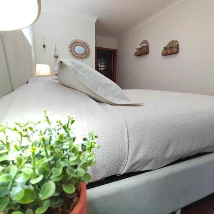Fatima-ourem - Quinta Da Luz - Breakfast Included * Ourem