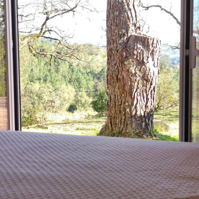 Fatima-ourem - Quinta Da Luz - Breakfast Included Villa Ourem