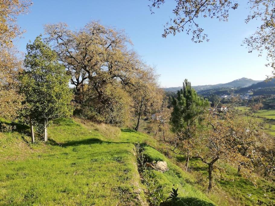 Fatima-ourem - Quinta Da Luz - Breakfast Included Villa *
